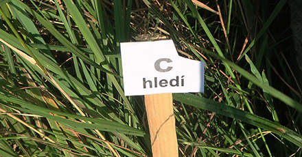 heslo