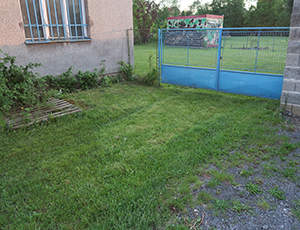 tráva