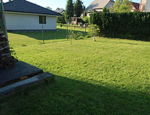 tráva